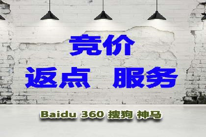 某品牌sem竞价托管代运营的精彩瞬间